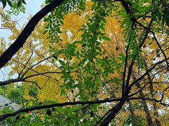 -凤来栖·净庭院·火锅(欧尚店)