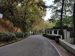 -北极阁公园