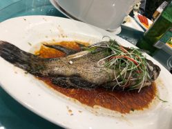 -苏州希尔顿酒店-宴会厅