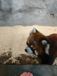 -Zoolung Zoolung动物主题公园(海信广场店)