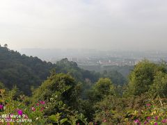 -火炉山森林公园