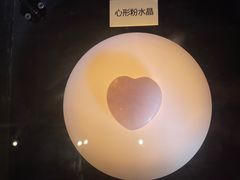 -陕西自然博物馆