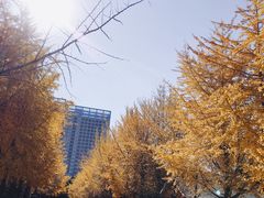 -辽宁大学(崇山校区)