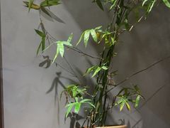 -本处·素食·融合料理(南油店)