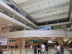 -中国人民解放军总医院