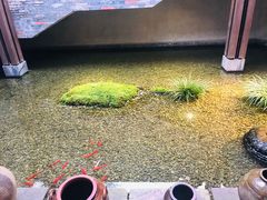 -几荷·恰似故人来(秀水广场店)