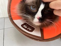 -贝来恩24H动物医院·转诊中心(稻香路店)