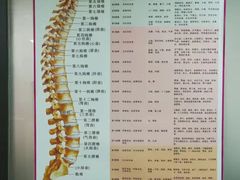 -龙脊堂龙氏推拿 整脊(陆家浜店)