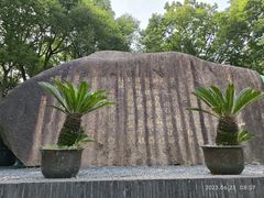 -陈家山荷花公园