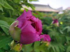 -大钟寺古钟博物馆