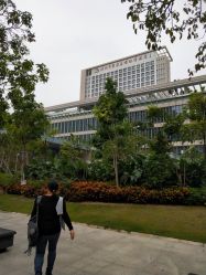 -深圳市宝安区妇幼保健院