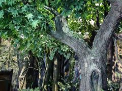 -中国杭州低碳科技馆