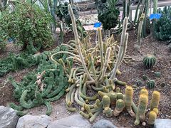 -南山植物园