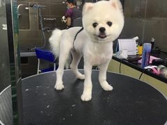 -美联众合动物医院(唯恩分院)
