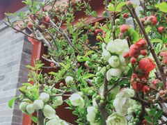 景点-陶然亭公园