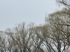 -北京世界公园