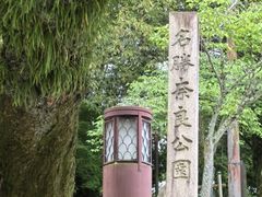 -奈良公园