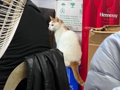 -凤城康记饭店