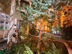 -正佳雨林生态植物园