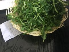 豆苗-田园肥牛鲍鱼先生(新北店)