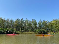-上海长兴岛郊野公园