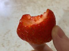 -百果园(绿城百合店)