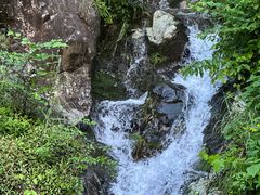 -东天目山风景区