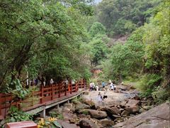 -广州白江湖森林公园