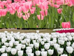 -白沙门生态公园