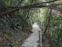 -浙西大龙湾