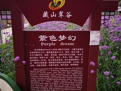 -藏山旅游风景区