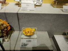 -湖南省地质博物馆