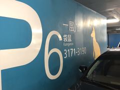 -虹桥综合交通枢纽-P6停车库