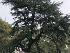 -上海大学(嘉定校区)