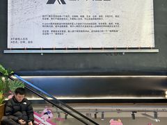 -南京时尚莱迪购物广场(正洪街店)