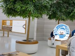 -Apple零售店(济南恒隆广场店)