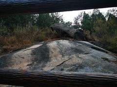 -白水寺森林公园
