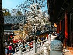 -灵谷景区