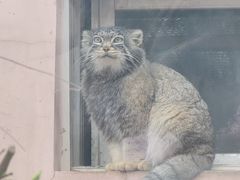 -青藏高原野生动物园