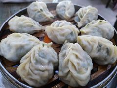 -小叶大馅饺子城