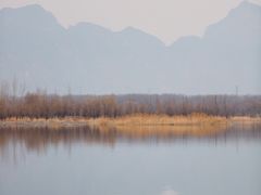 -野鸭湖国家湿地公园