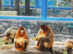 -大连森林动物园