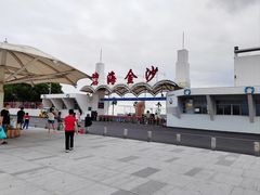 -碧海金沙