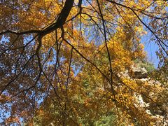 -青峰峡国家森林公园