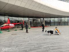 -哈尔滨大剧院