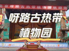 -呀路古热带植物园