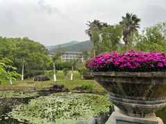 -宁波九龙湖开元度假村