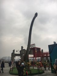 -恐龙探索乐园(磁器口店)