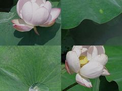 -重元寺香积厨素斋馆