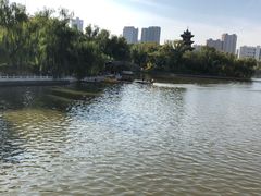 -迎泽公园